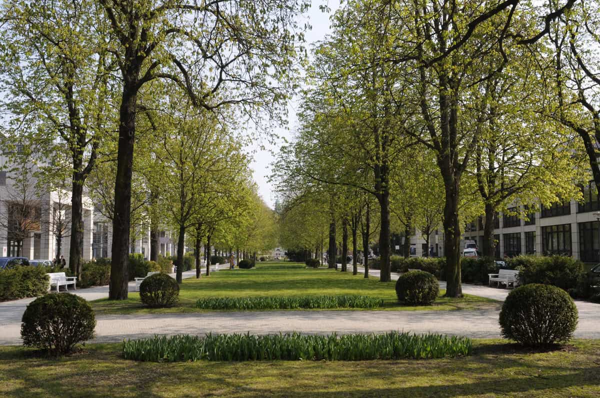 Campus Virchow Klinikum – Mittelallee